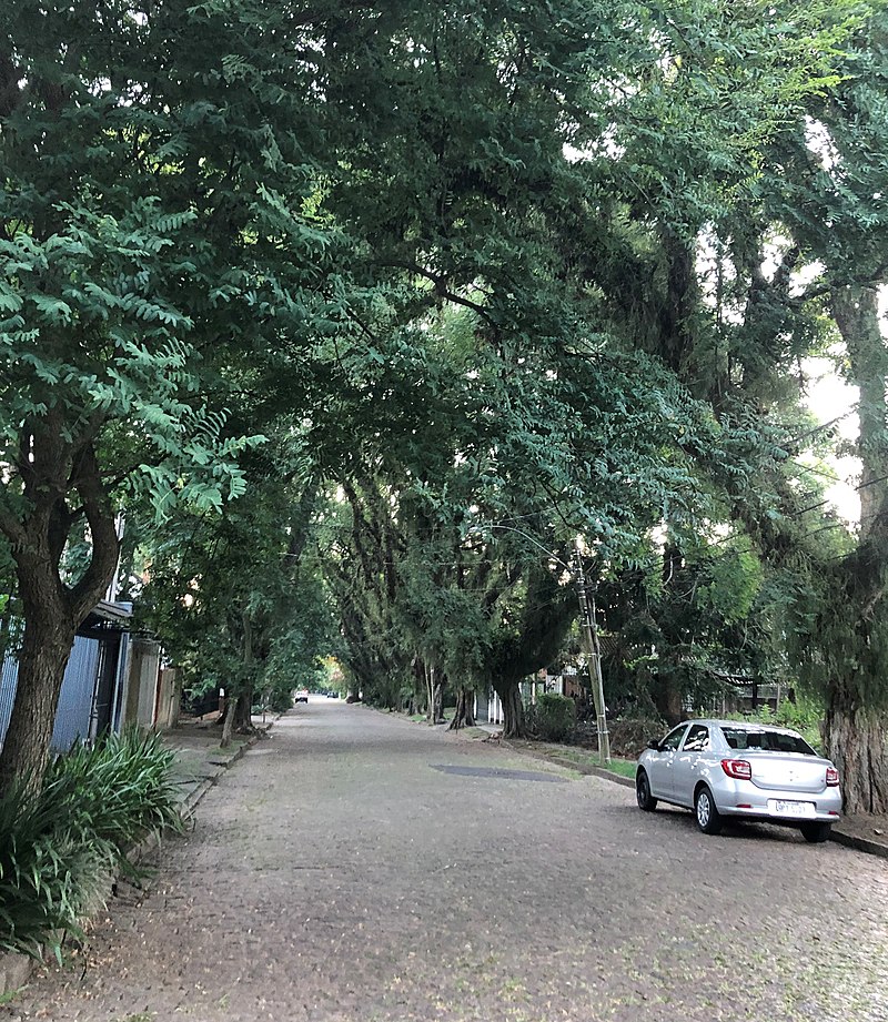 Bairro Jardim Isabel - Rua João Mendes Ouriques - Porto Alegre