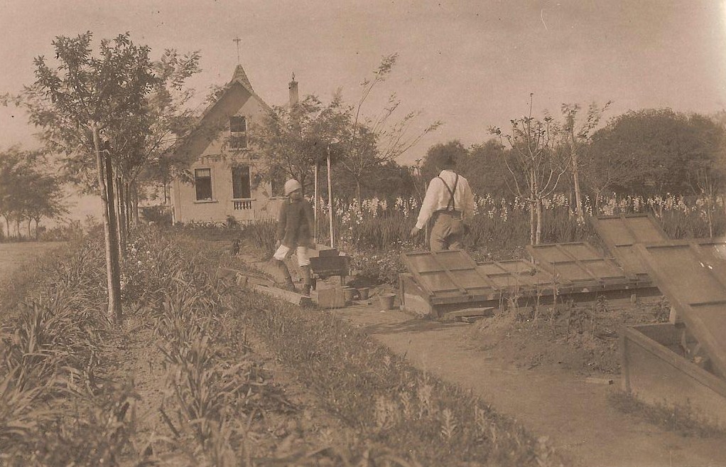 Primeiros anos da chácara dos Dreher - Jardim Isabel em Porto Alegre