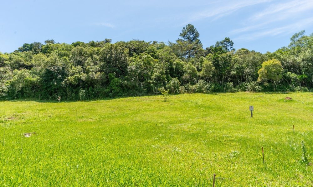 Terreno em Condomínio à venda com 1.201m² no bairro Vila Nova, Zona Sul de Porto Alegre - 001