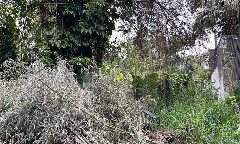 Terreno à venda com 342m² no bairro Pedra Redonda, Zona Sul de Porto Alegre - 001