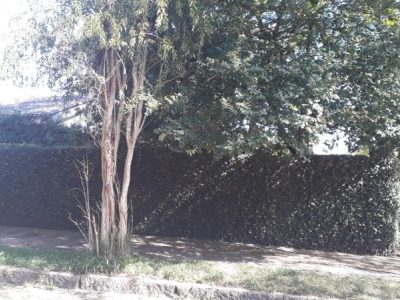 Terreno à venda com 680m² no bairro Vila Assunção, Zona Sul de Porto Alegre