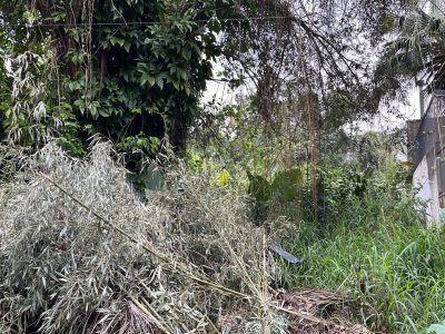 Terreno à venda com 342m² no bairro Pedra Redonda, Zona Sul de Porto Alegre